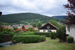 Chez Vivi et Jean Pierre Maison 8 à 9 personnes au calme vue montagne WIFI Gérardmer